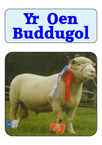 Yr Oen Buddugol
